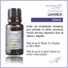 LAVANDA