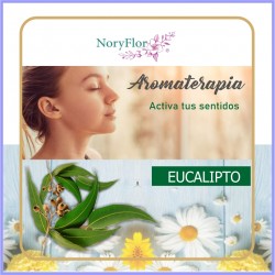 EUCALIPTO 60ML