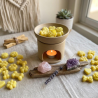 Waxmelts 160g.