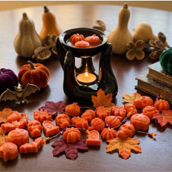 Waxmelts 160g.